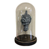 Cursed Head of Pazuzu Demon in Jar