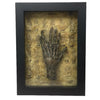 Framed Six Finger Monkey Paw