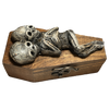 Conjoined Twin Corpse Coffin Trinket Box