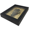 Framed Six Finger Monkey Paw