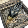 Six Finger Monkey Paw in Box
