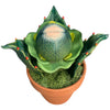 Solar Eclipse Special Piranha Plant