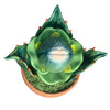 Solar Eclipse Special Piranha Plant
