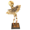 Vintage Cupid Skeleton Fetus Angel