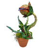 Economy Little Shop L. Piranha Plant