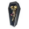 Conjoined Siamese Twin Skeleton in Coffin