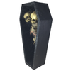 Conjoined Siamese Twin Skeleton in Coffin