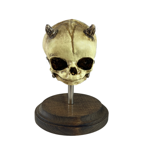 Demon Devil Fetus Skull Oddity – asylumzone