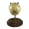Demon Devil Fetus Skull Oddity