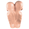 Latex Formaldehyde Skin Siamese Twin Fetus