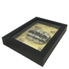 Framed Siamese Twin Triclops Fetus Skull