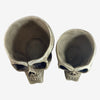 Skull Candy Resin Bowl