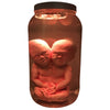 Clear Bottle for Specimen Display