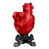 Dry Anatomical Heart Vase