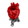 Dry Anatomical Heart Vase