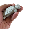Garden Siamese Twin Cement Turtle