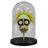 Bob Shrunken Head with Hair in Bell Jar
