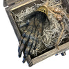 Six Finger Monkey Paw in Box