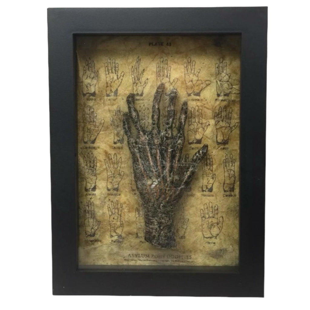 Framed Six Finger Monkey Paw