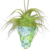 Mini Bob Shrunken Head with Hair