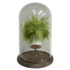 Miscellaneous Ghost Shrunken Head with in Bell Jar