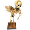 Vintage Cupid Skeleton Fetus Angel