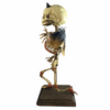 Kneeling Demon Incubus Fetal Skeleton Fetus