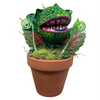 Economy Little Shop S. Piranha Plant