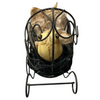 Vintage Fetus in Metal Carriage