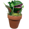 Economy Little Shop S. Piranha Plant
