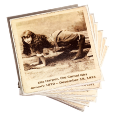 Kitchen &amp; Bar Oddities