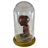 Siamese Twin Mummy Fetus Jar