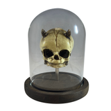 Vintage Fetus Demon Devil Skull with Bell Jar