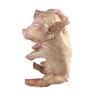 Latex Deluxe Siamese Twin Fetus Baby Prop