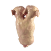 Latex Deluxe Siamese Twin Fetus Baby Prop