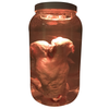 Fetal Pig Siamese Twin Piglet Specimen