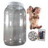 Fetal Pig Siamese Twin Piglet Specimen