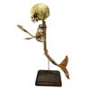 Vintage Fetus Mermaid Skeleton