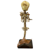 Vintage Fetus Mermaid Skeleton
