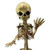 Vintage Fetus Mermaid Skeleton