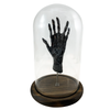 Bizarre! Cursed Six Finger Monkey Paw