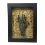 Framed Six Finger Monkey Paw