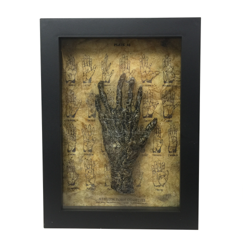 Framed Six Finger Monkey Paw