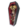 Conjoined Siamese Twin Skeleton in Coffin