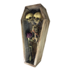 Conjoined Siamese Twin Skeleton in Coffin
