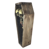 Conjoined Siamese Twin Skeleton in Coffin