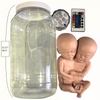 Formaldehyde Skin Siamese Twin Specimen
