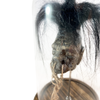 Shrunken Head with Hair in Bell Jar
