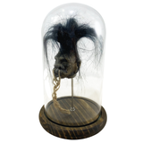 Shrunken Head with Hair in Bell Jar