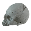 Cement Garden Pottery Pot Skull